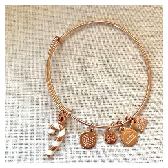 Alex and Ani Christmas Candy Cane Rose Gold Tone Bracelet - Picture 3 of 3